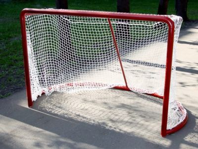 Ворота хоккейные игровые, пара