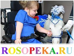 Правильная организация двигательного режима