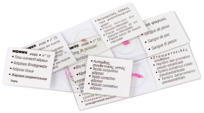 Набор микропрепаратов Konus 25: «Клетки и ткани животных»