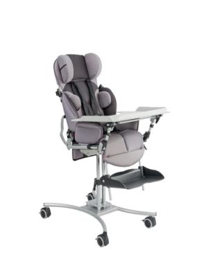 Кресло-коляска инвалидная для детей с ДЦП HOGGI BINGO Evolution на домашней раме