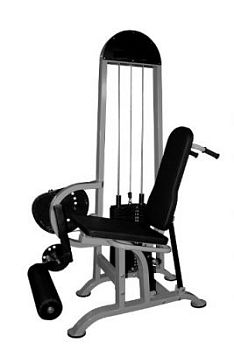 ТГ-0130-C. Квадрицепс+бицепс бедра (100 кг) арт. PrG24985