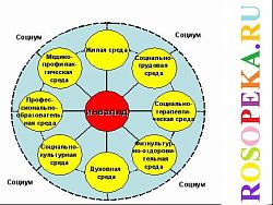 Развитие зрительной перцепции и восприятия