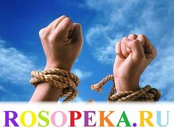 Выводы и перспективы научных исследований