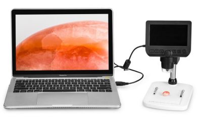 Микроскоп цифровой Levenhuk DTX 350 LCD арт. ФгК26899