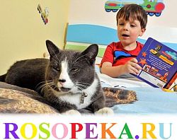 Сравнительный анализ представлений взрослых о знаниях здоровых детей