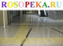 Особенности развития и поддержки детей с задержкой психического развития