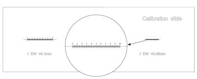 Слайд калибровочный Levenhuk 3