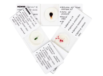 Набор микропрепаратов Konus 25: «Беспозвоночные и насекомые»