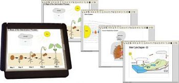 Тактильно-речевая обучающая система для инвалида по зрению IVEO Lite