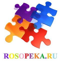 1.3 Семья как основной агент социализации и социальной адаптации детей с ОПФР